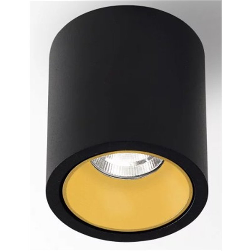 Delta Light R HE Plafonnier