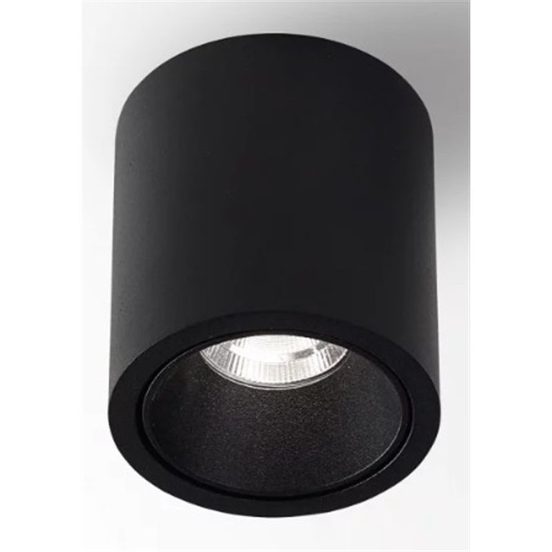 Delta Light R HE Plafonnier