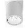 Delta Light R HE Plafonnier