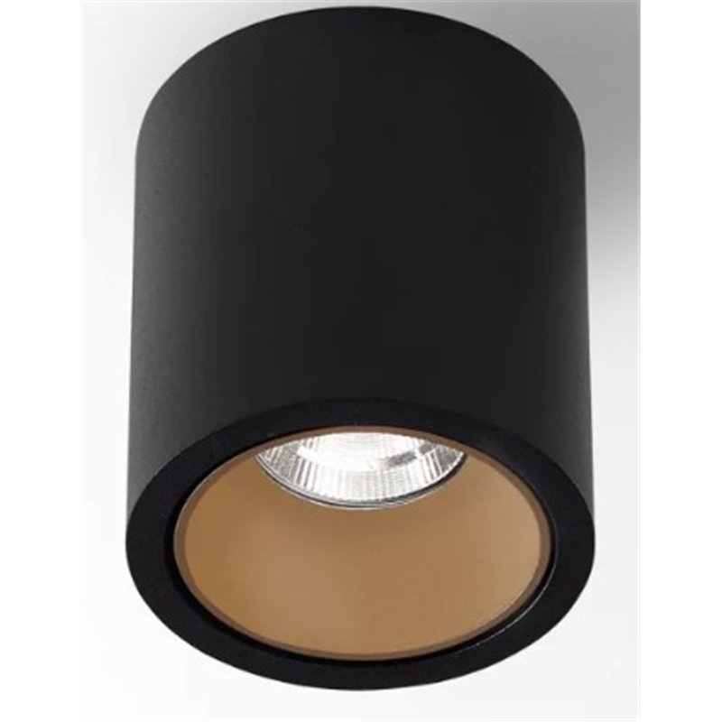 Delta Light R HE Plafonnier