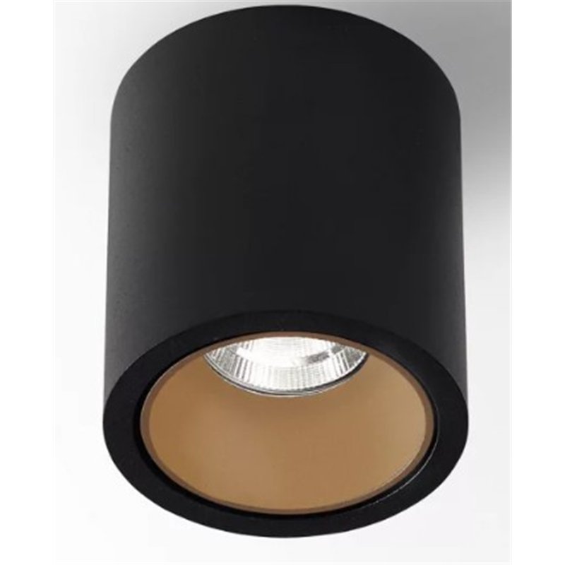 Delta Light R HE Plafonnier