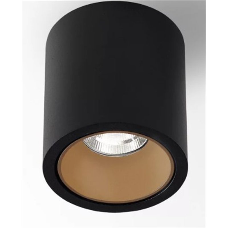 Delta Light R HE Plafonnier
