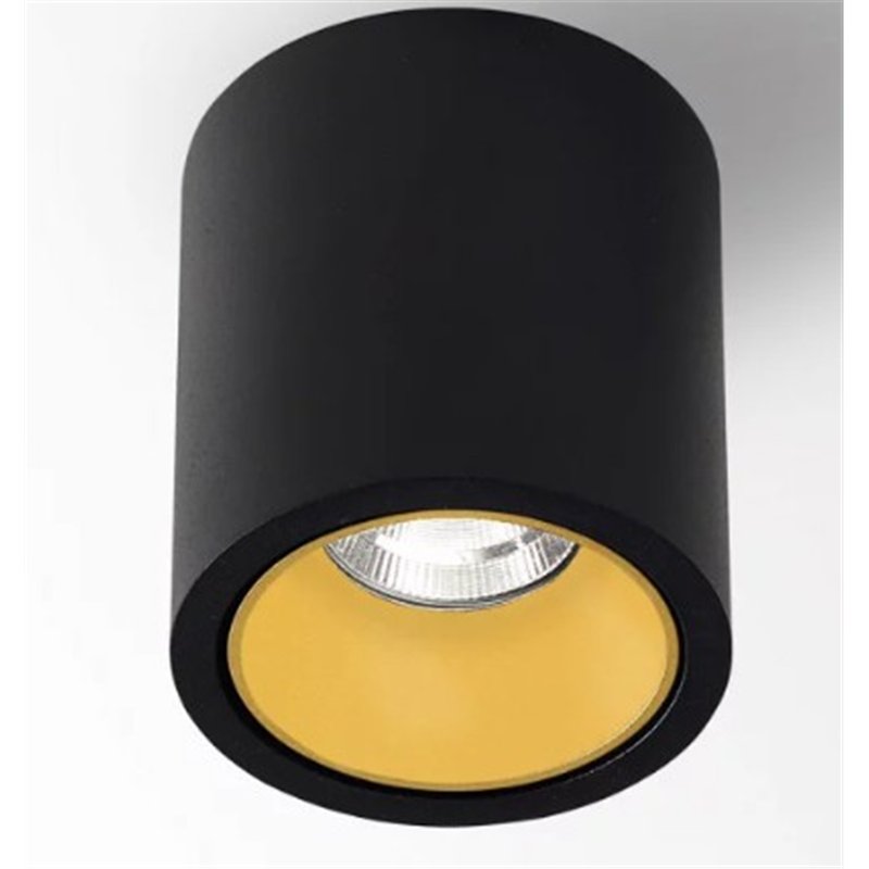 Delta Light R HE Plafonnier
