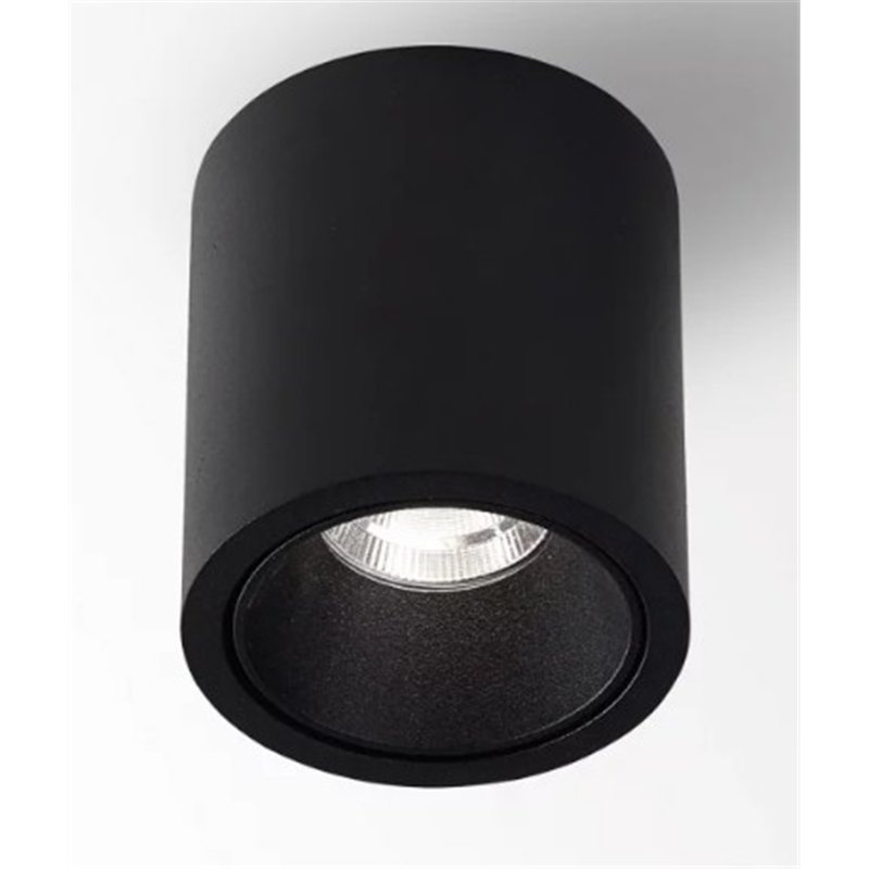 Delta Light R HE Plafonnier