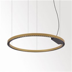 Delta Light INFORM R1+ DOWN-UP DIM5 Lampe suspendue