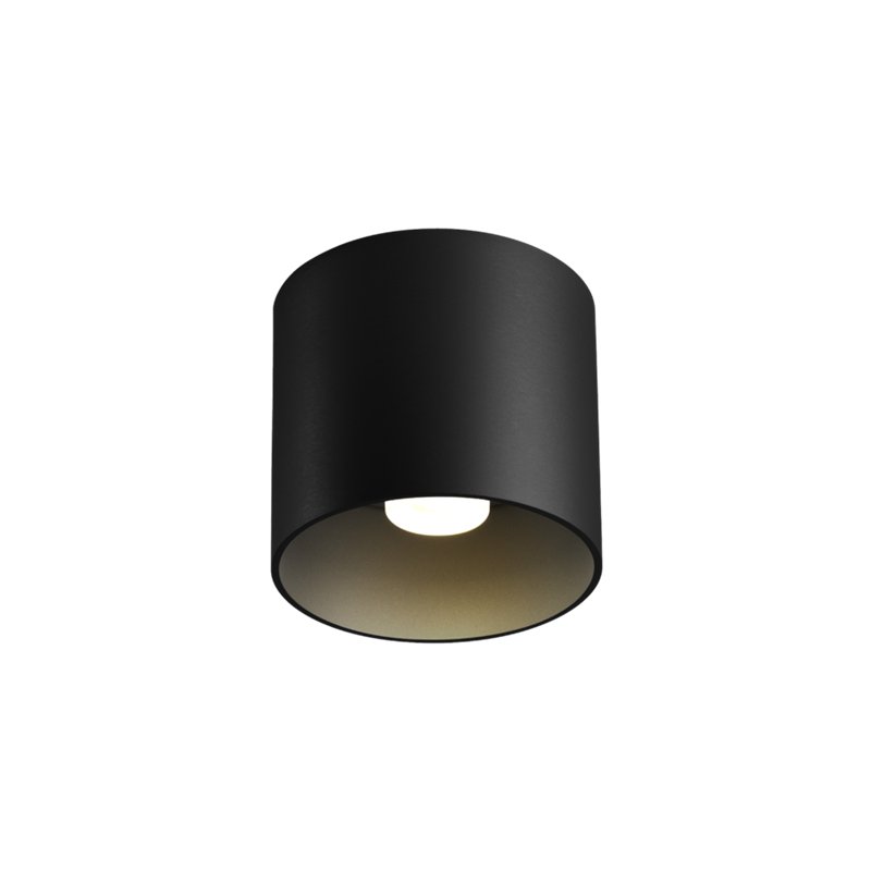 Wever & Ducré Ray 1.0 PAR16 Plafonnier