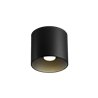 Wever & Ducré Ray 1.0 PAR16 Plafonnier