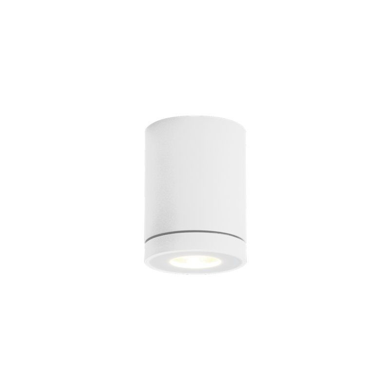 Wever & Ducré Tube 1.0 PAR16 Plafonnier