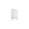 Wever & Ducré Tube 1.0 PAR16 Deckenlampe