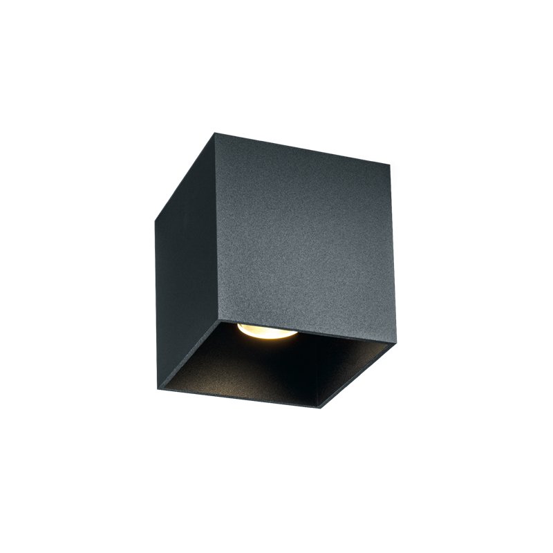 Wever & Ducré Box Outdoor 1.0 Plafonnier
