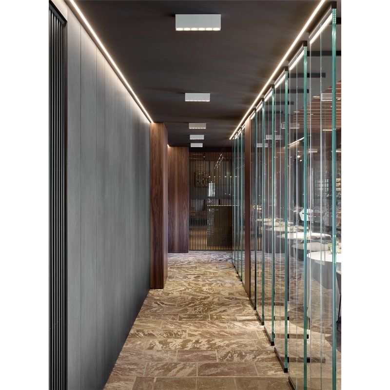 Wever & Ducré Pirro Petit Surface 12.0 Plafonnier