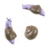SELETTI Snail hanger 1 - sleeping - color