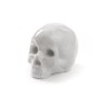 SELETTI Memorabilia porcelain my skull